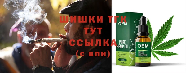 СК Бронницы