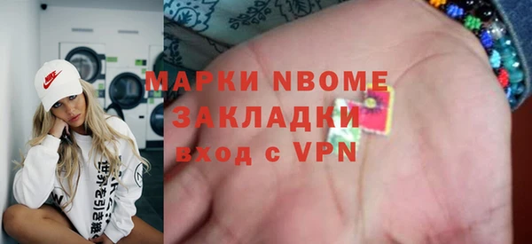 индика Аша