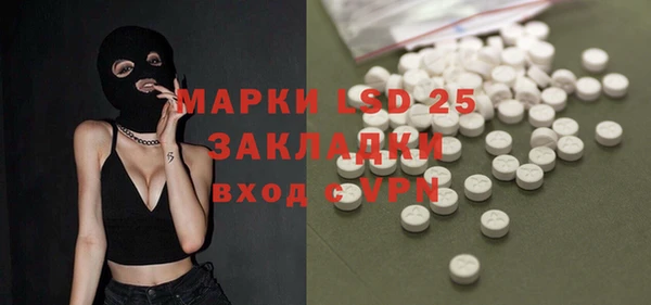 mdpv Бородино