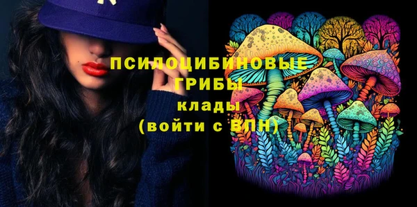 СК Бронницы