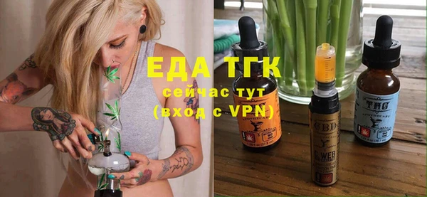 индика Аша