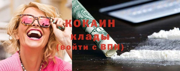 индика Аша