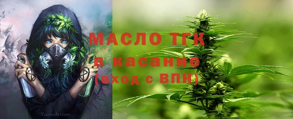 индика Аша