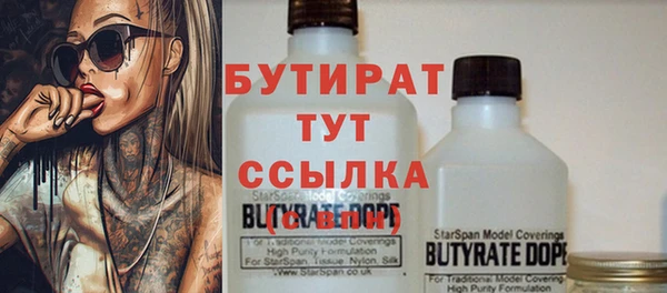 индика Аша