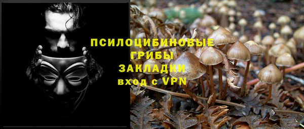 мдпв Бабаево